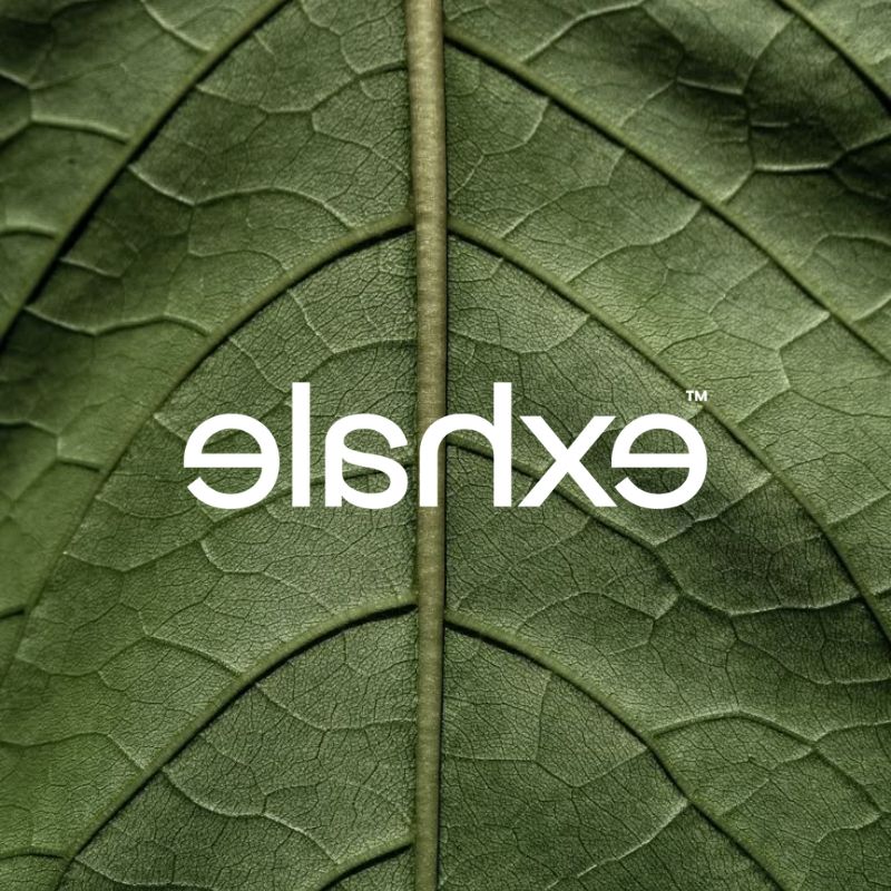 Exhale.ae