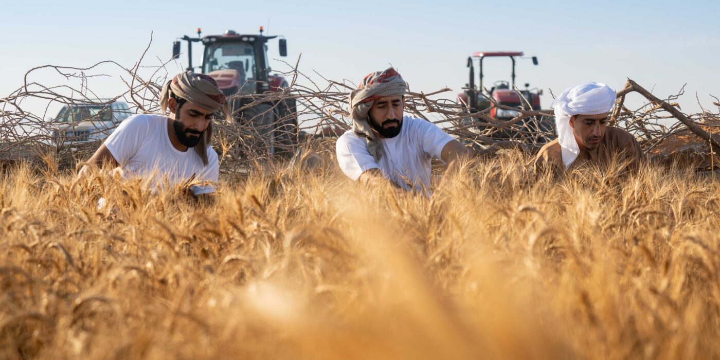 Sheraa launches Access Sharjah Challenge allocating AED 500,000 for AgriTech and Livestock Health innovations